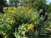 DSC06773-Kopie