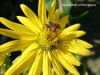 DSC06777-Kopie