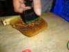 DSC02228