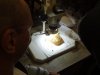 DSC02231