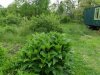 DSC02175