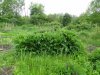 DSC02176