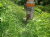 DSC02209