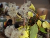 DSC04906