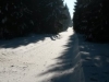 20150217_110136