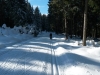 20150225_134049